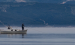 best time of day to fish